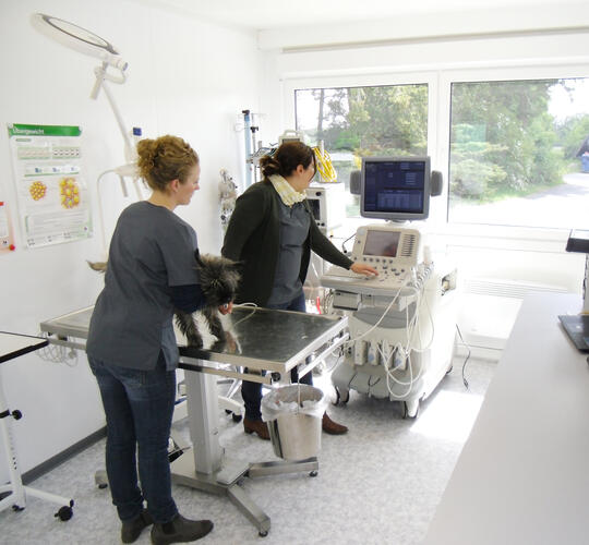 ELA Container - Behandlungsraum für Tierarztpraxis